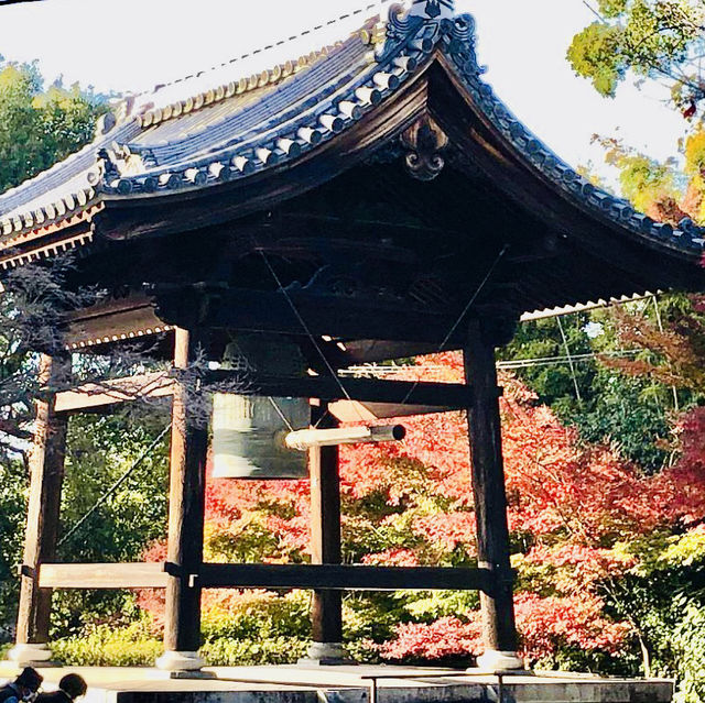 A Journey Through Kodaiji Temple's Fall Splendor