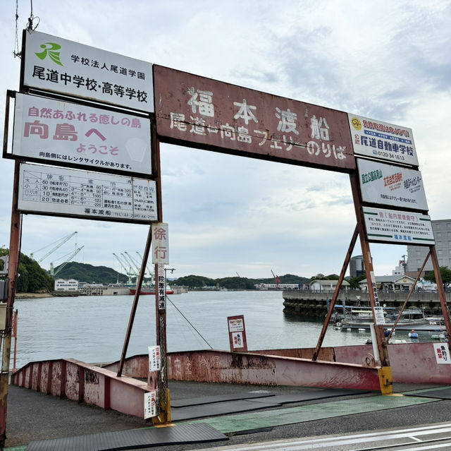 瀨戶內海單車旅行