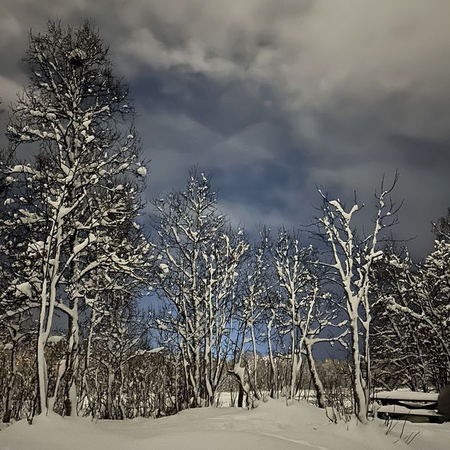 特羅姆瑟：雪國奇境的純白美景，遺憾的極光之約