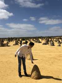 The Pinnacles: Perth’s Desert Wonderland