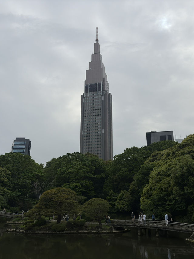 Escape to Serenity at Shinjuku Gyoen National Garden