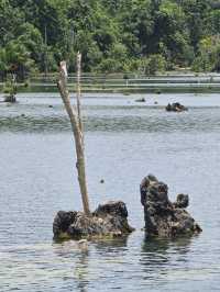 Crystal Oasis at Klong Root