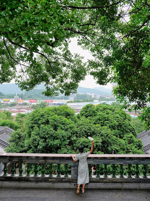 不是江南勝江南｜白雲區小眾園林博物館