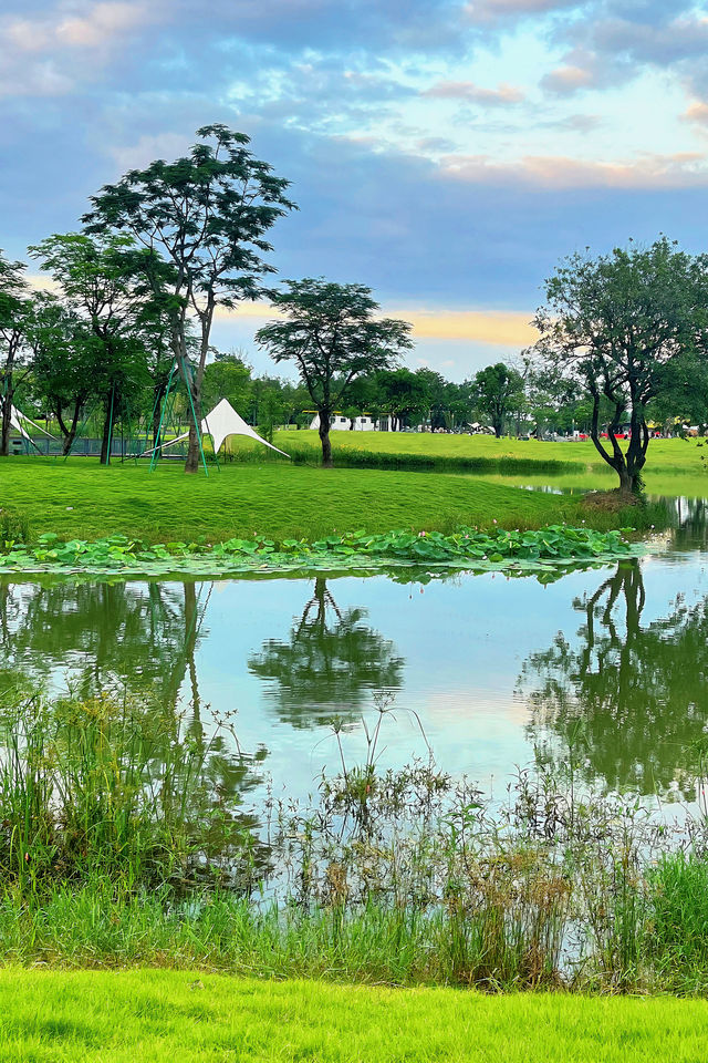 佛山也有自己的莫奈花園，簡直美了