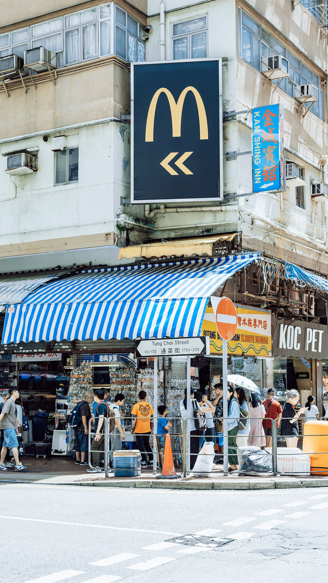 香港金魚街拍照打卡攻略。