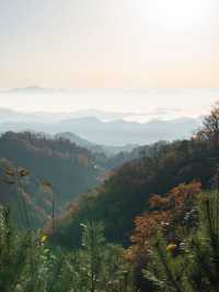 秦嶺山脈奔赴雲海日出 駕車直達太子嶺。