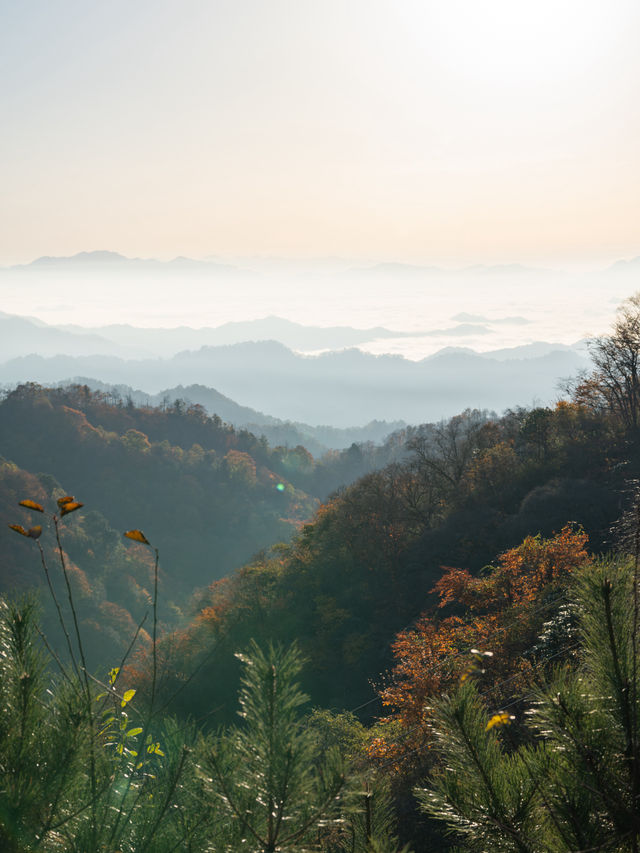 秦嶺山脈奔赴雲海日出 駕車直達太子嶺。