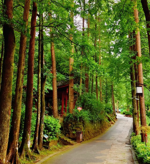 打卡－成都丹景山風景區。