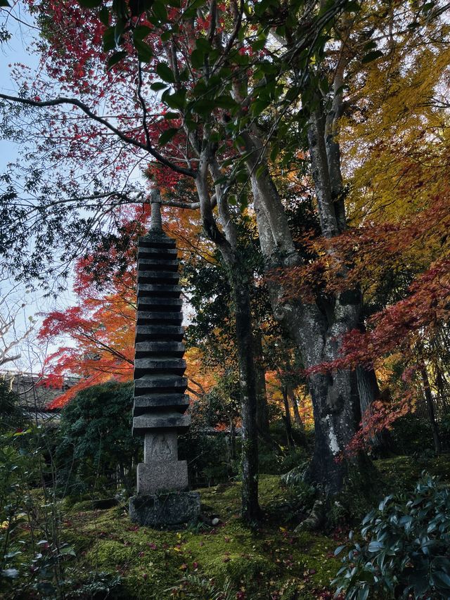 日本·奈良吉城園