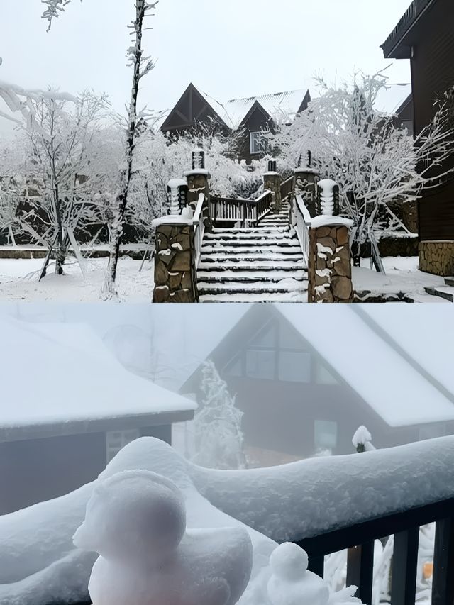 成都！西嶺雪山！雪景木屋！太美了！