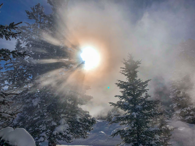 原來冰封的露易絲湖雪景比夏天還美