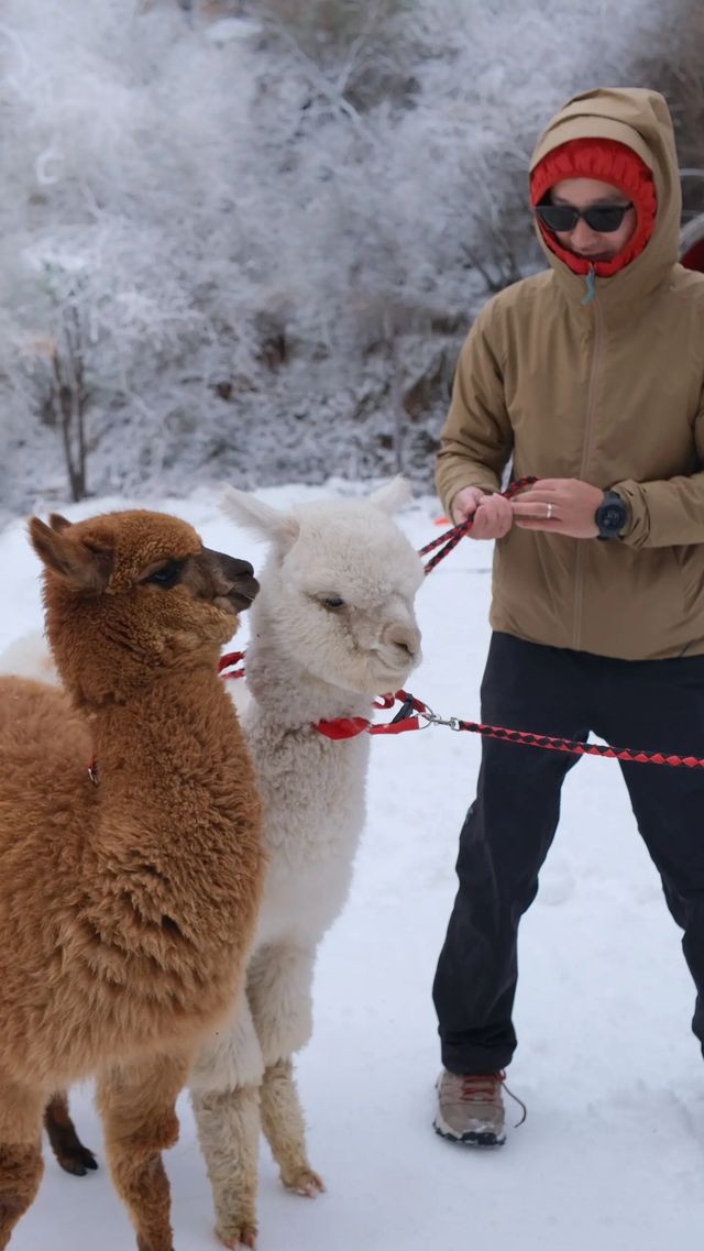 攤牌了｜我願稱為鄭州冬天超小眾玩雪聖地