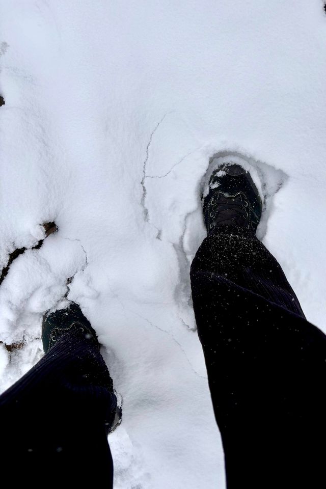 成都出發1.5小時免費觀賞超美霧凇雪景