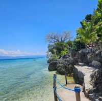 Paradise: Sea Turtle Hotel Moalboal