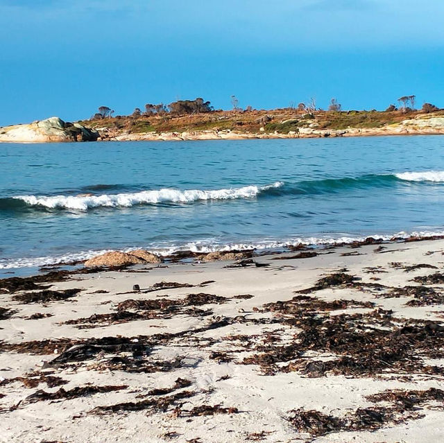 Bicheno Beach @ Tasmania 🇦🇺