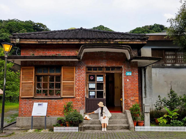 Houtong Cat Village หมู่บ้านแมวน่ารักๆในไต้หวัน