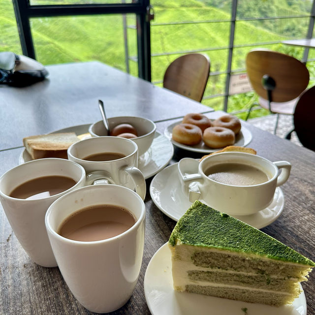 A Brew-tiful Escape:Exploring Tea Plantations