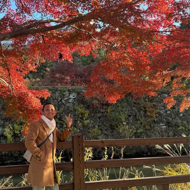 Solo travel to the most iconic Himeji Castle, Japan 🇯🇵 