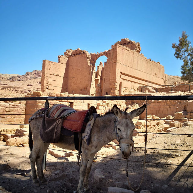 The Rose-Red City of Jordan