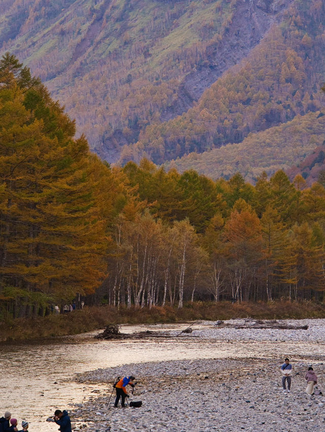 【長野】紅葉だって楽しめる🍁大自然に魅せられる絶景スポットを紹介🔍※アクセス攻略付