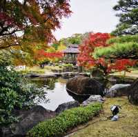 Nature’s Palette: Autumn Bliss at Kokoen Garden, Himeji!