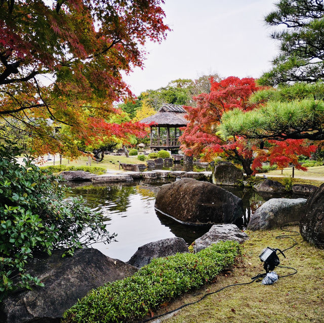 Nature’s Palette: Autumn Bliss at Kokoen Garden, Himeji!