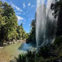 Discover the Enchanting Beauty of Springbrook National Park