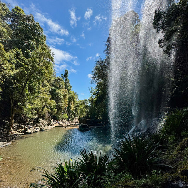 Discover the Enchanting Beauty of Springbrook National Park