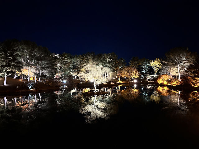 🇰🇷慶州✈️越夜越美麗的東宮與月池동궁과월지