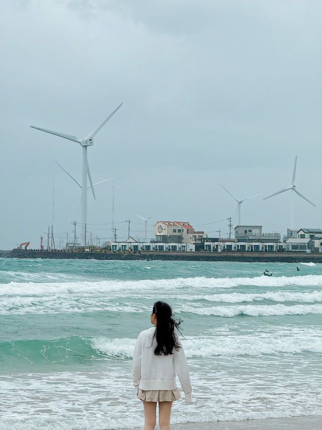 Charming Beach with Windmills: Great Place to Surf