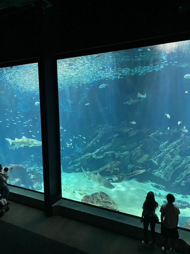 【福岡観光】マリンワールド海の中道：海と生き物が織りなす感動体験