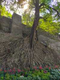 Yuexiu Park (越秀公园): A Serene Escape in the Heart of Guangzhou