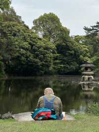 Discover Serenity at Shinjuku Gyoen, Tokyo’s Urban Escape