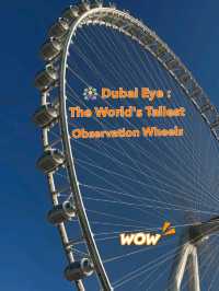 🎡 Dubai Eye (Ain Dubai): The World's Tallest Observation Wheel 🌆