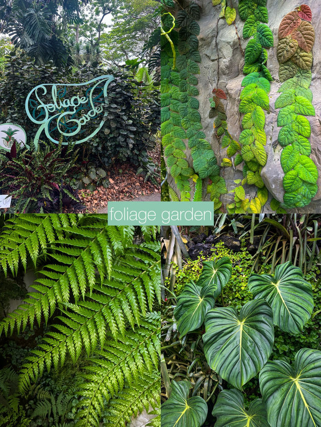 Watch Life Bloom at Singapore Botanic Gardens