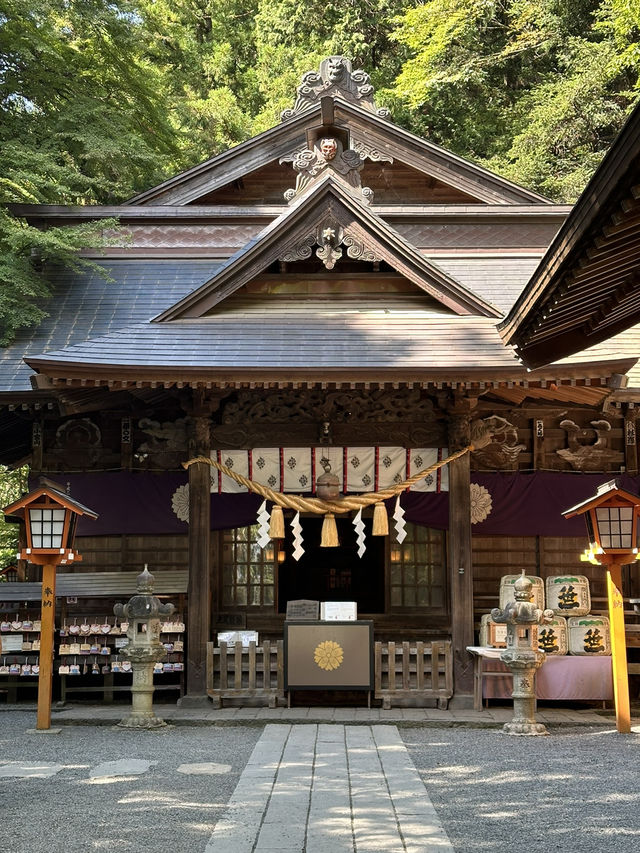 【東京近郊景點：新倉山淺間公園！可以看見富士山的絕美觀景台！】