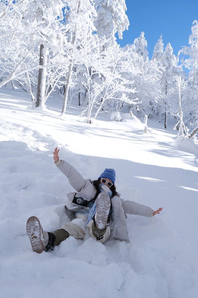 雪谷太美了，下次不會來了