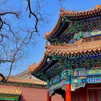 Lama Temple in Beijing with pink blossoms 🌺