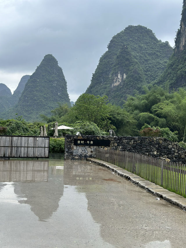 陽朔旅遊•藏在遇龍河邊的森林秘境民宿