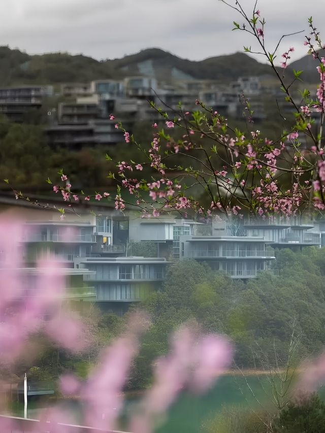 莫干山郡安里度假酒店簡介。