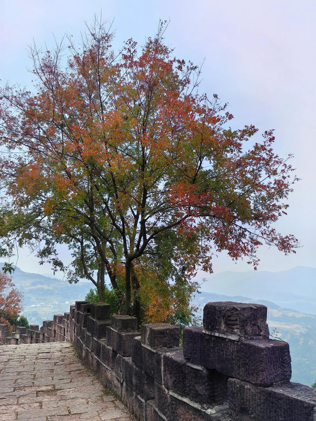 金堂雲頂山行山，成都｜行山好去處。