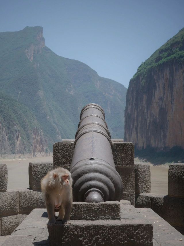 4日秋遊重慶-宜昌 錯峰出行不擁擠。