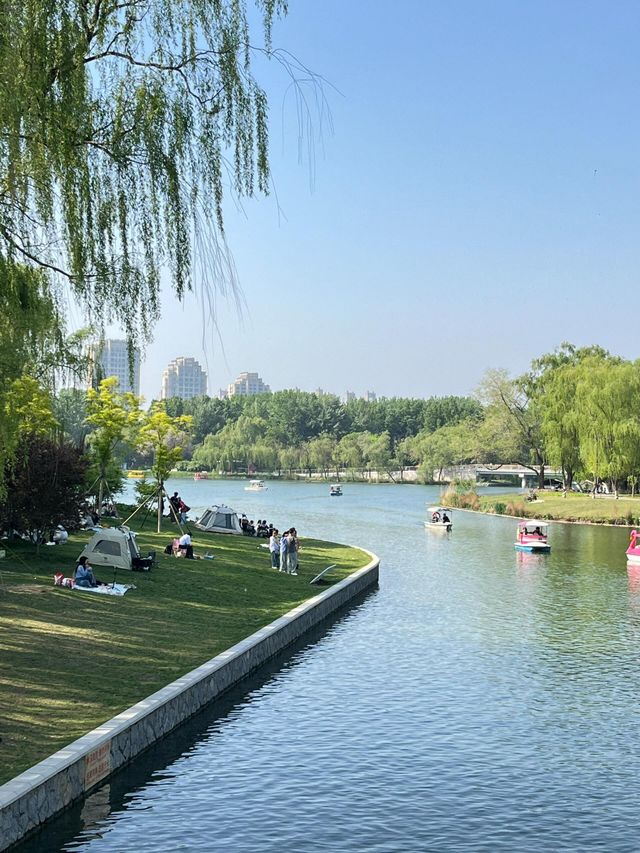 心血來潮朝陽公園行。