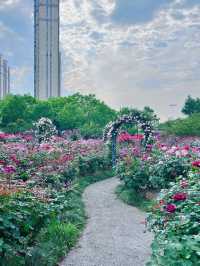 武漢遛娃好去處 | 楊春湖公園：花海中的寶藏樂園