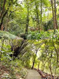 秋天來白雲山徒步走這條路線，幸福感多 100 倍