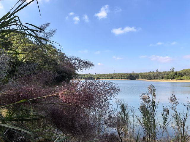 雲月湖風光