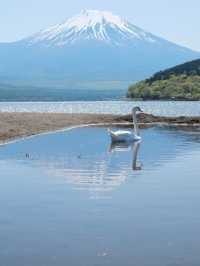 8日暢遊日本 盡享溫泉之旅