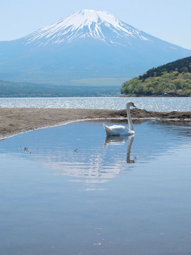 8日暢遊日本 盡享溫泉之旅