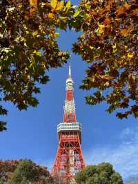 東京賞楓攻略 總要去看一下動漫裏的場景吧！