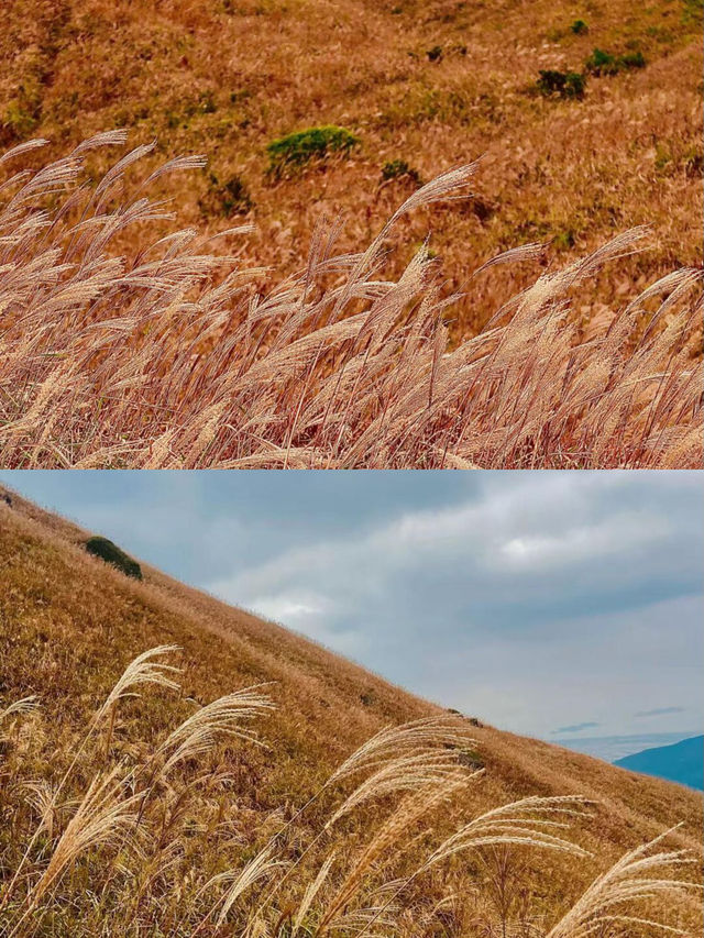 深圳當天往返大東山徒步快走起